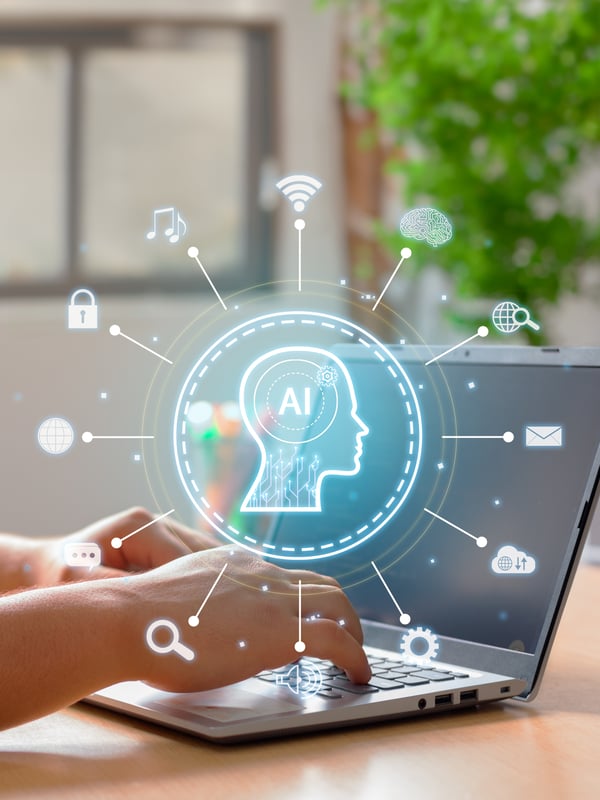local business listings optimize